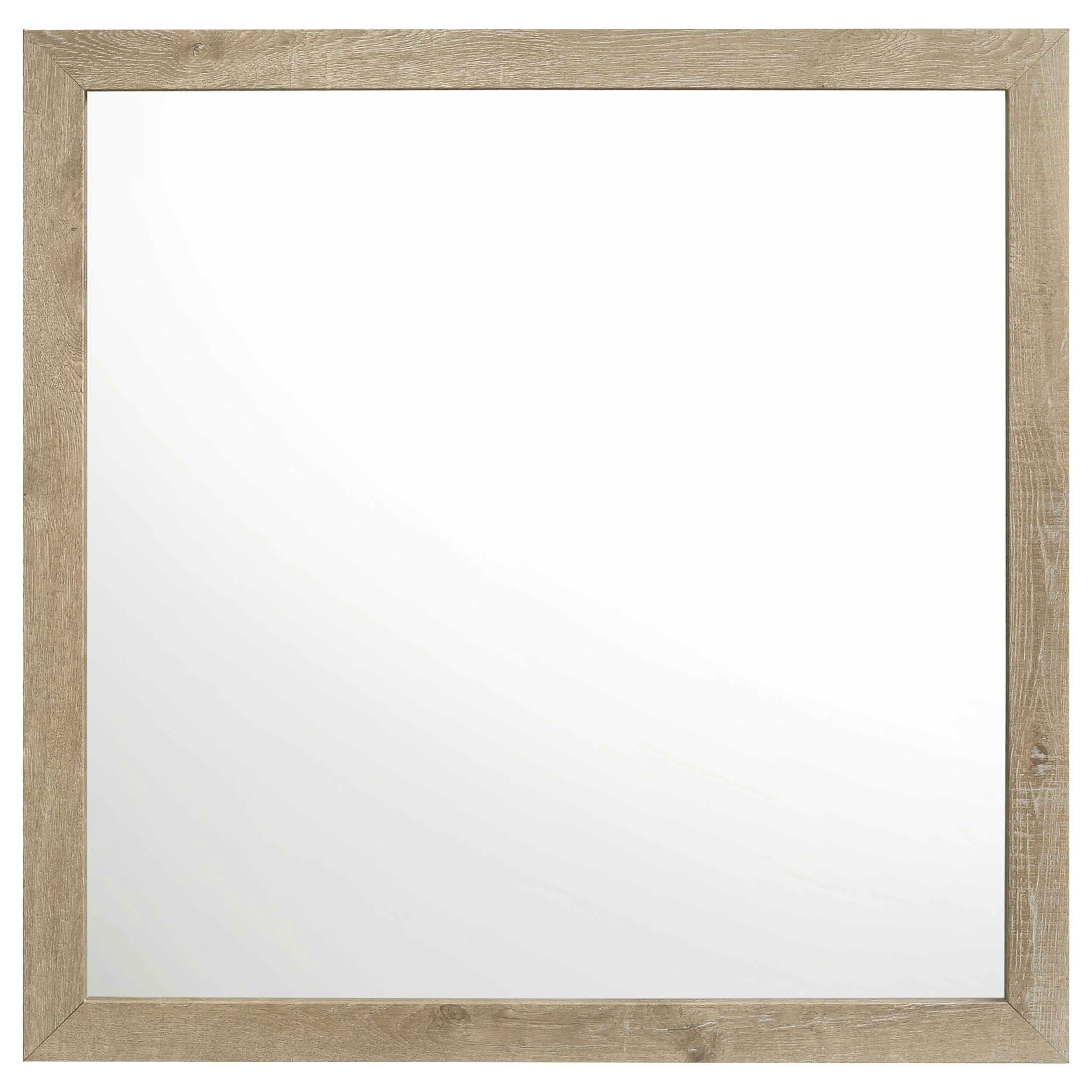 Product image 101