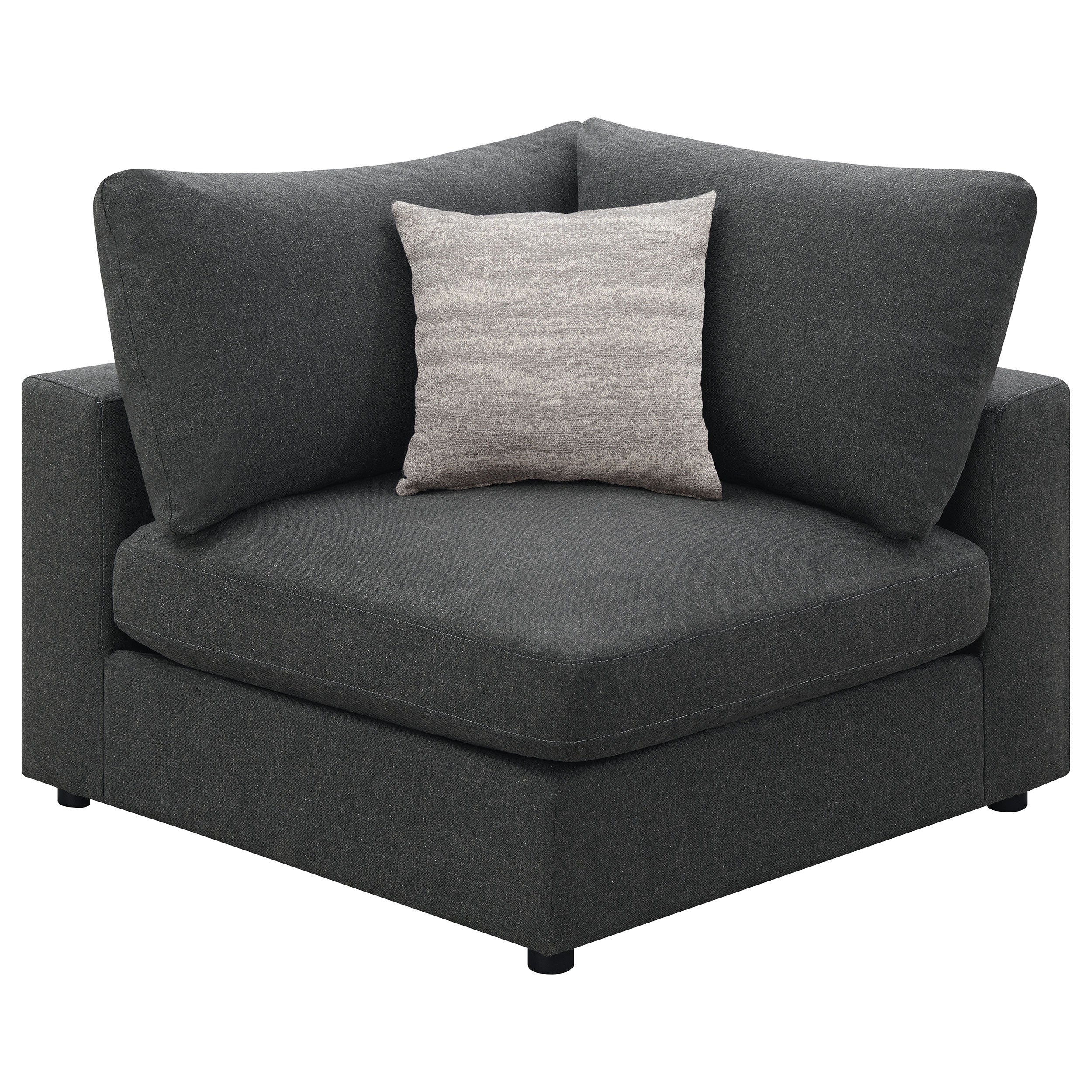 Product image 101